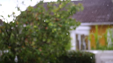 Lluvia-En-Cámara-Lenta-En-El-Jardín