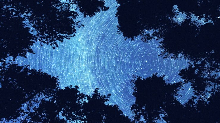 Majestic night sky in the forest with trailing stars