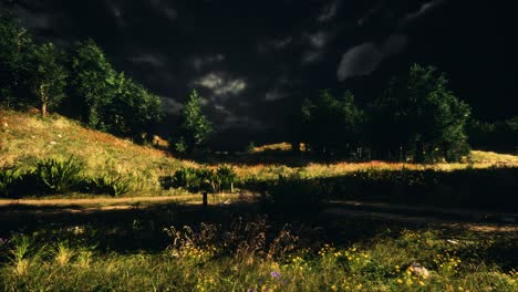 Thunderstorm-clouds-with-lightning-in-green-meadow