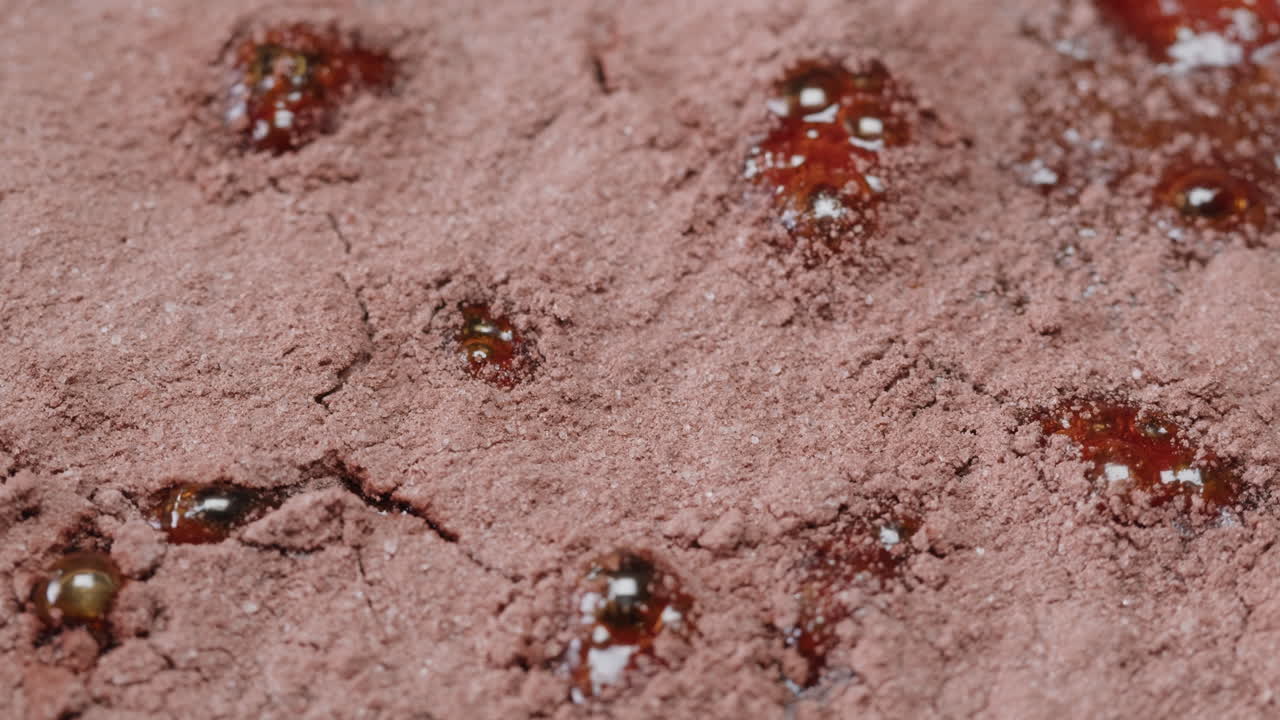 Chocolate Powder with Sweet Topping