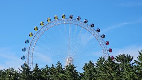 sokcho eye - ferris wheel against blue sky from behind forest in sokcho city, south korea - copy space