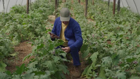 mature man working on farm