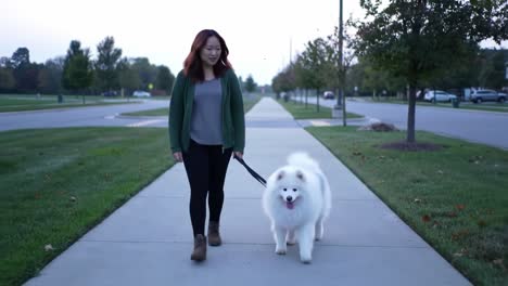 a woman enjoys an evening stroll with her adorable samoyed dog along a quiet path, surrounded by lush greenery and peaceful urban scenery