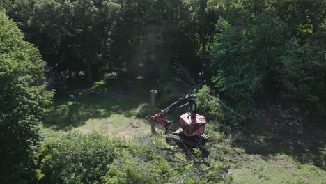 automated lumberjack machine gripping the cut trees and stacking them in a forest