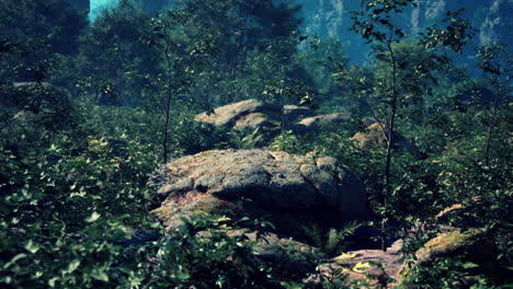 una roca en el medio de un bosque