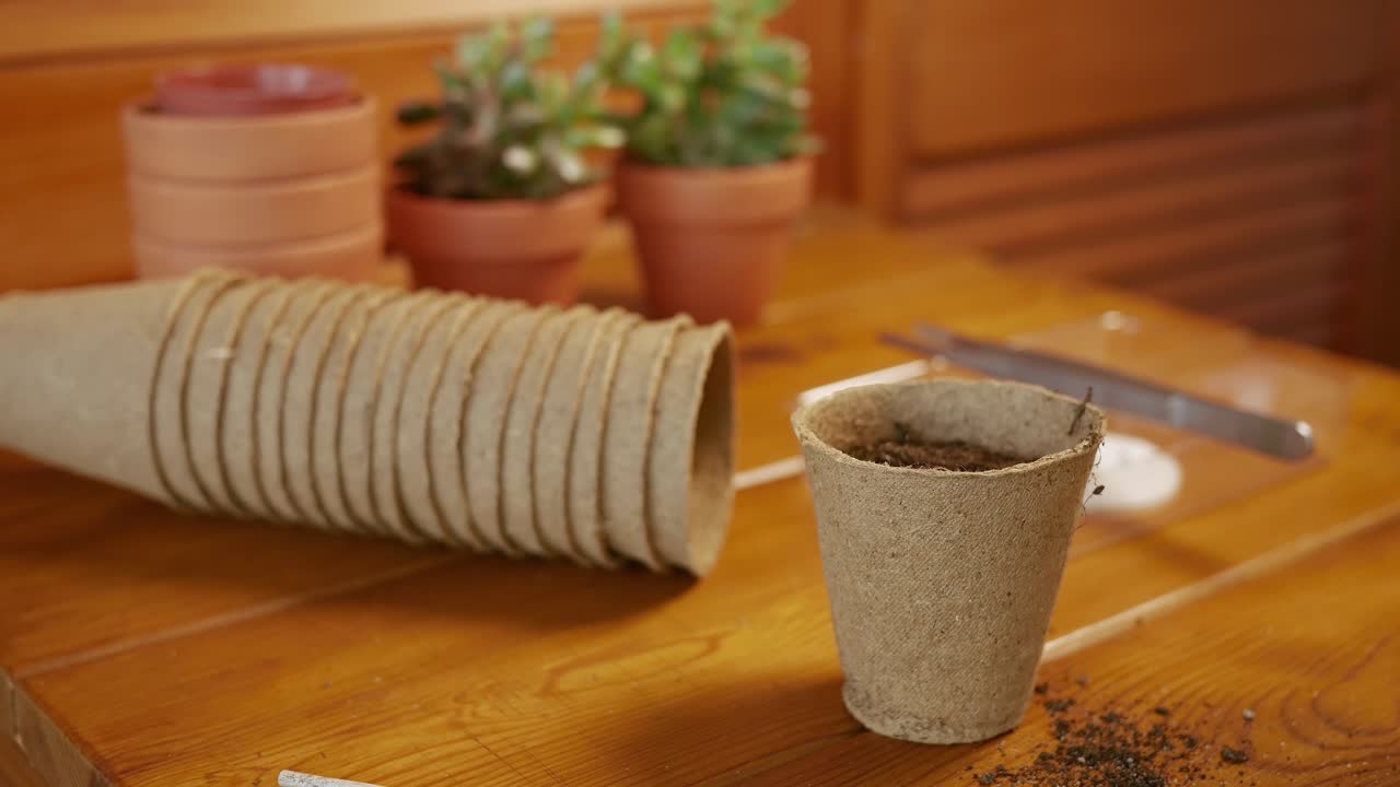 A man sprinkles water on the ground in a paper pot for planting seeds.