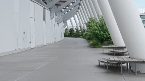 a calm, modern walkway with distinctive white pillars at tokyo's national stadium, a perfect blend of design and nature