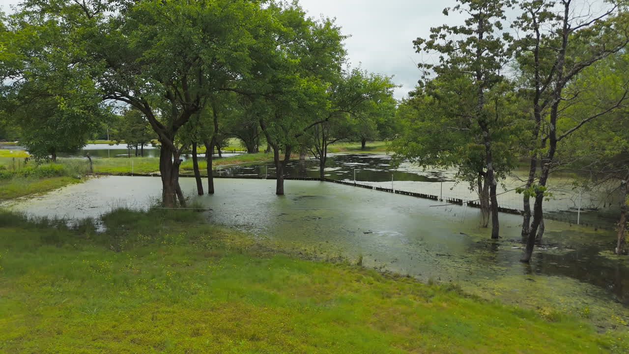 Growing Trees On A Flooded Landscape In A Rural Area Near Cherokee, Arkansas, USA. Aerial Drone Shot