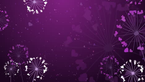 loop animation pattern of dandelion seed and flowers with hearts on purple background. greeting card for valentine s day, wedding, mother s day.