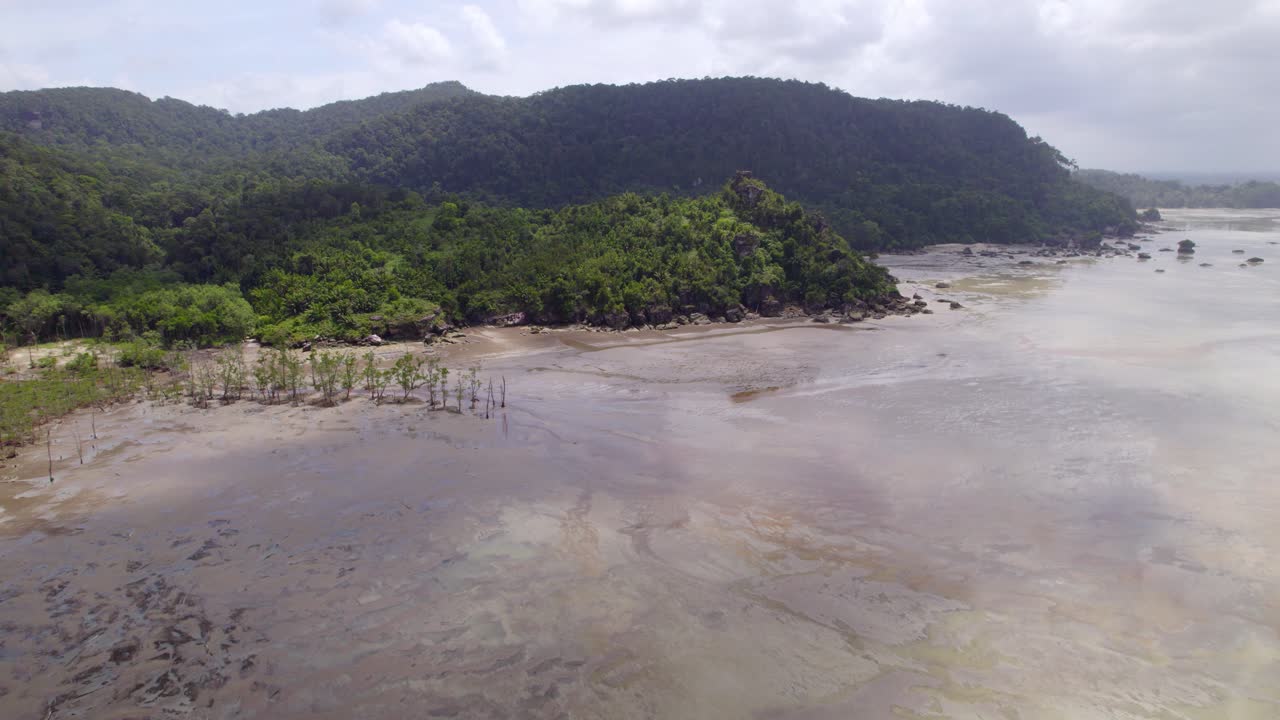 Vista aérea de litoral tropical com sapais e exuberantes montanhas verdes
