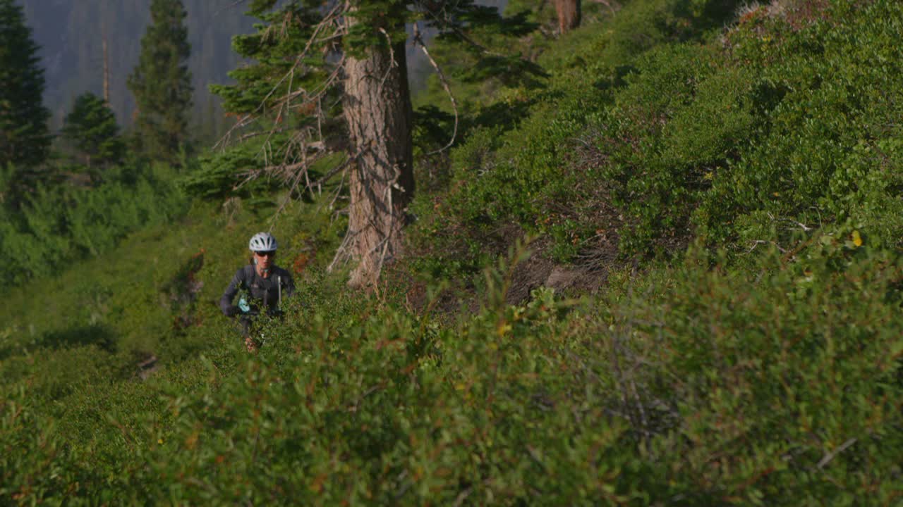 un ciclista de montaña recorre un camino cerca de un bosque 2