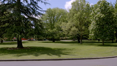 the road in the middle of the city park with shady trees