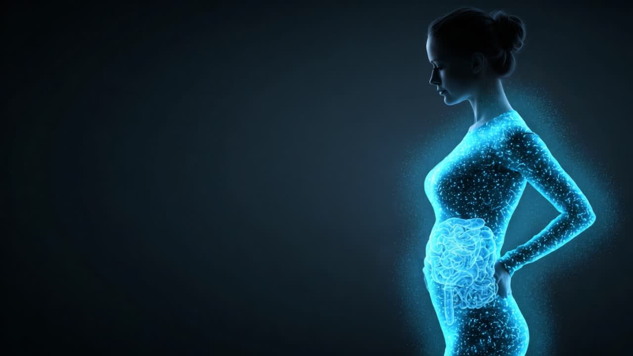 Silhueta Iluminada de uma Mulher com Cérebro Radiante e Visualização Abdominal, Retratando as Complexidades da Anatomia Humana e da Função Cognitiva.