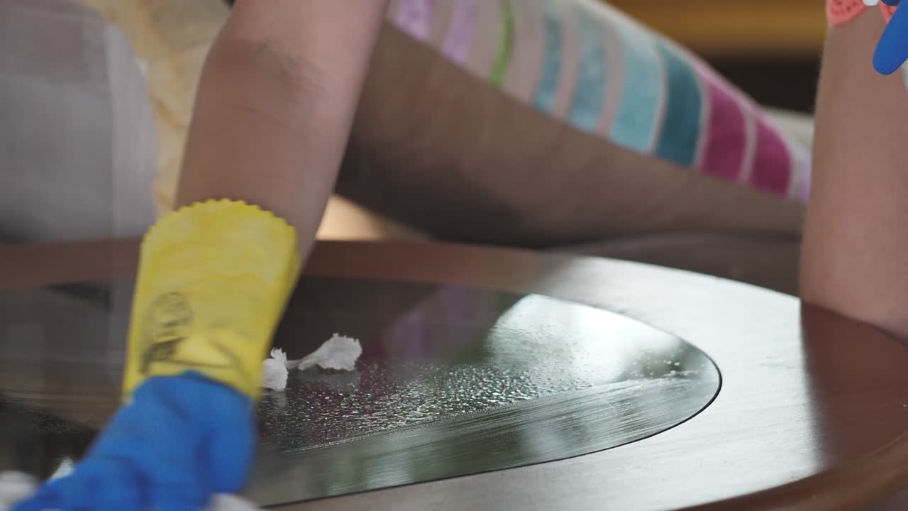 el ama de casa limpia la casa