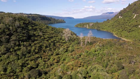 巨型藍色湖泊, 隱藏在新西蘭北島的廣<unk>山地.