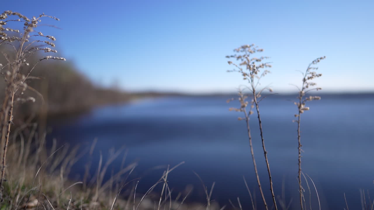 야마스카 국립공원에서 팬샷