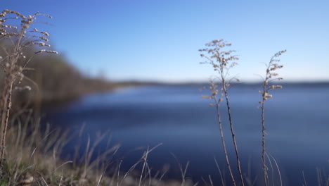 Kameraschwenk-Im-Yamaska-Nationalpark