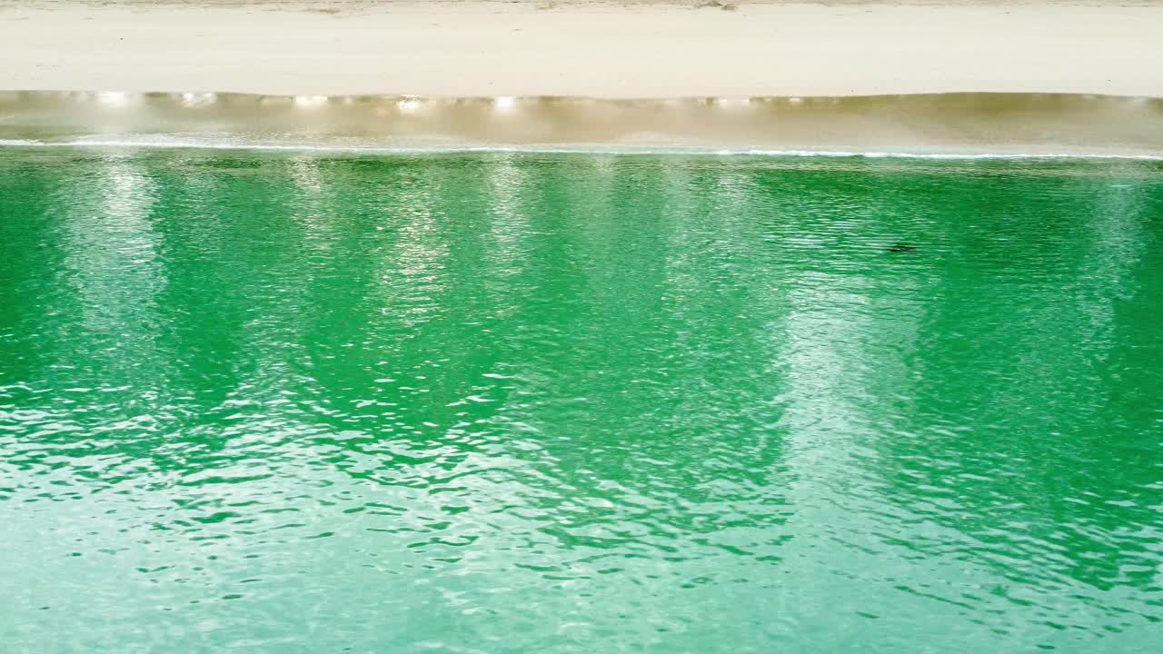 위에서 빈 모래 해변에 충돌하는 파도의 조감도