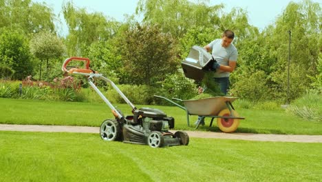 landscaper worker man stop mower engine and unload grass from lawn cutter machine bag into wheelbarrow. garden meadow lawn cutting.