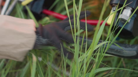 close up of gloved hand grasping burner control lever while flame bursts into hot air balloon envelope amid tall grass field prep detailed lens focus vibrant color contrast