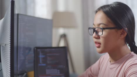 woman studying computer code