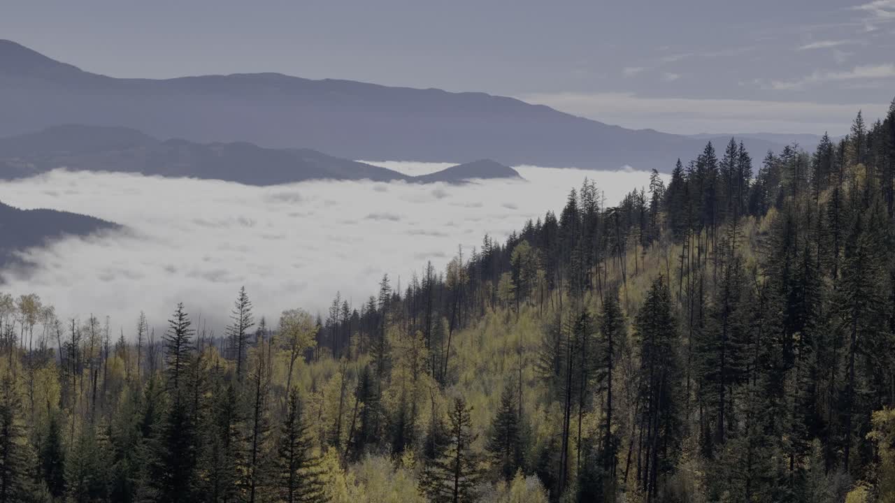 majestad de otoño: vistas aéreas de un valle cubierto de nubes en medio de picos boscosos