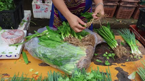 person bundling and trimming fresh greens