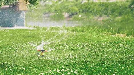 watering the green lawn with a sprayer 1