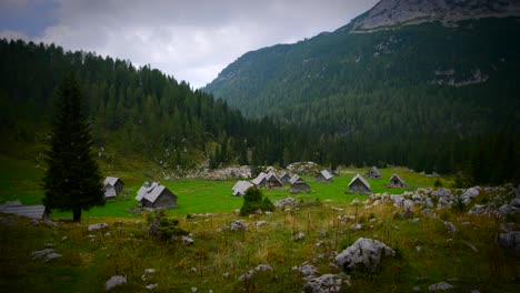 Aufnahmen,-Die-Auf-Einem-Gimbal-Von-Unten-Nach-Oben-Gefilmt-Wurden,-Zeigen-Ein-Kleines-Bergdorf-Mit-Häusern-Im-Wald-Mit-Umliegenden-Bergen-Und-Landschaften