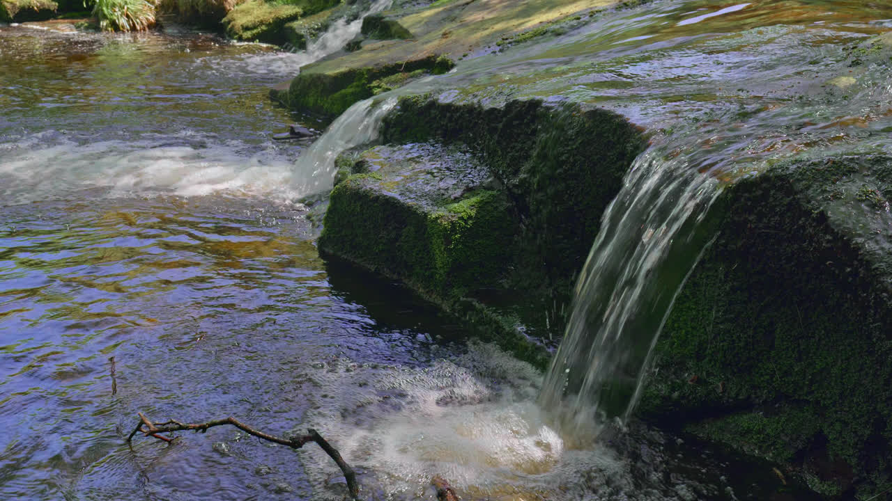 la maravillosa reserva natural de wyming brook, cerca de sheffield, yorkshire, en el reino unido.