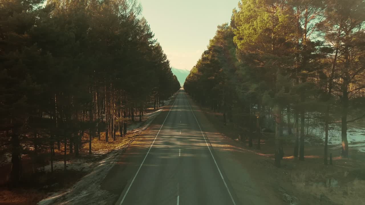 Riprese aeree di una lunga autostrada rettilinea che attraversa una pineta all'ora d'oro vicino al villaggio di Arshan, Repubblica di Buriazia, Russia, con montagne distanti all'orizzonte.