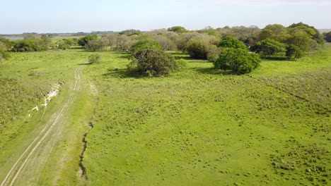 Wetlands-of-northeast-Argentina-shooted-with-drone