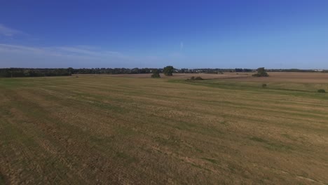 flying low towards single trees in agricultural fields on a sunny day