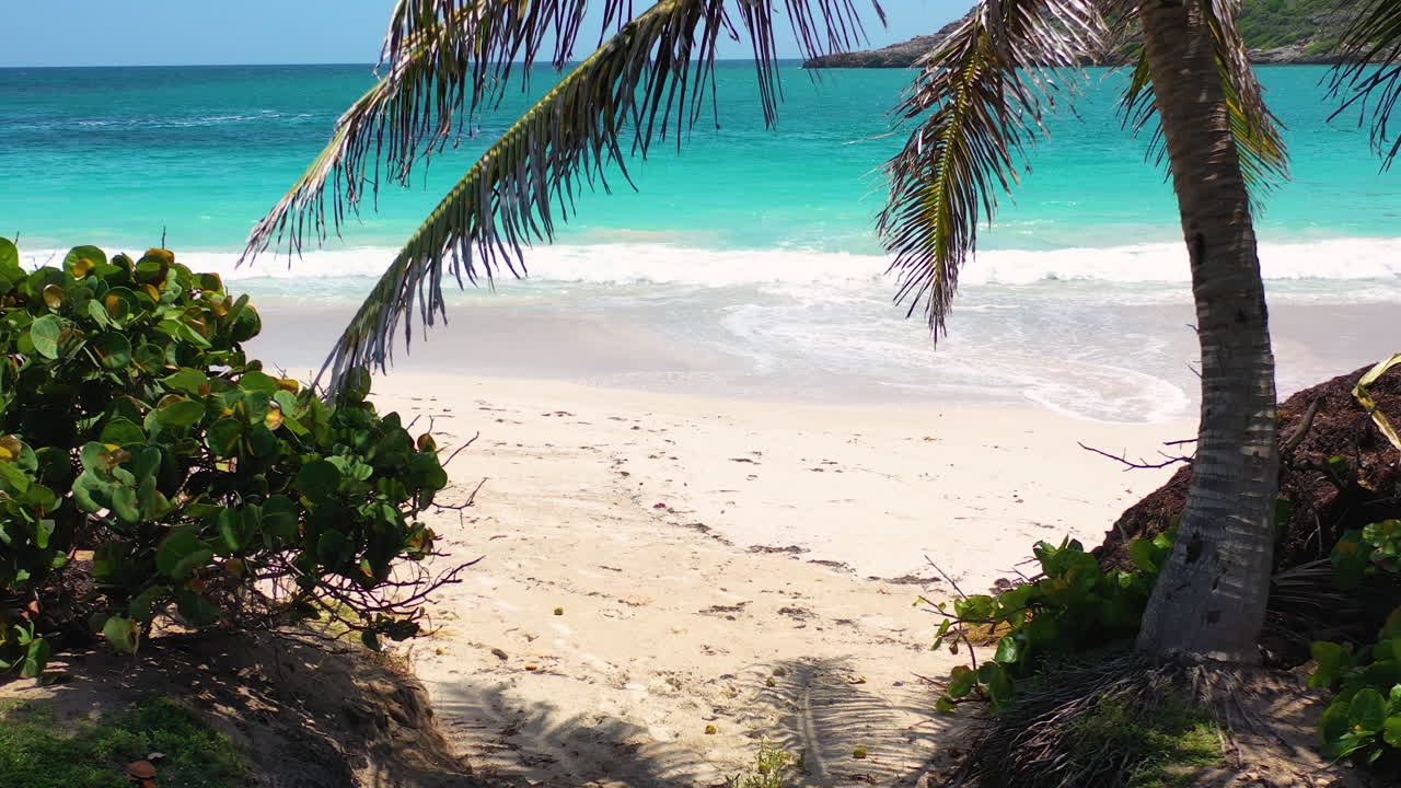 The tropical paradise of the Half moon bay on Antigua in the Caribbean sea, white sand beach washed by turquoise waves, palms and exotic plants on the beach, rocky cliffs in the distance, zooming 4k