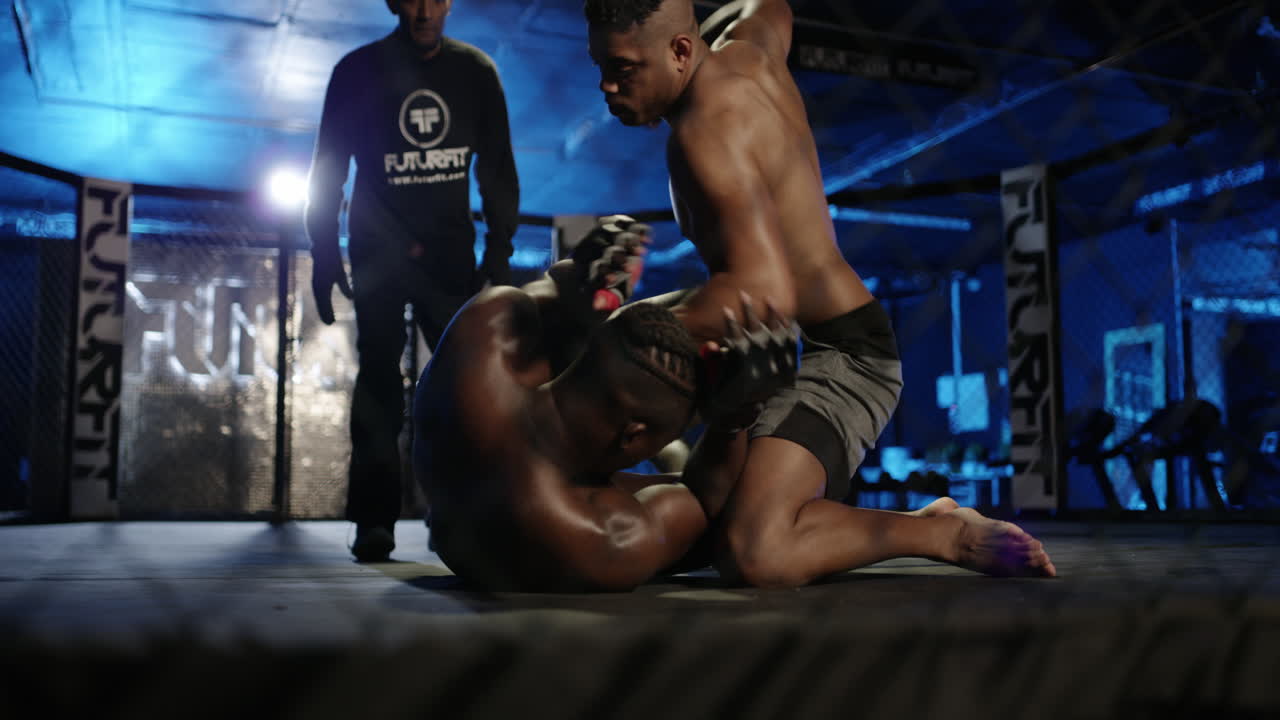 글래디에이터들은 요즘 좀 다르게 보입니다.