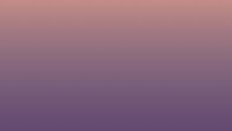 animación de texto de amor y tacones altos sobre fondo rosa
