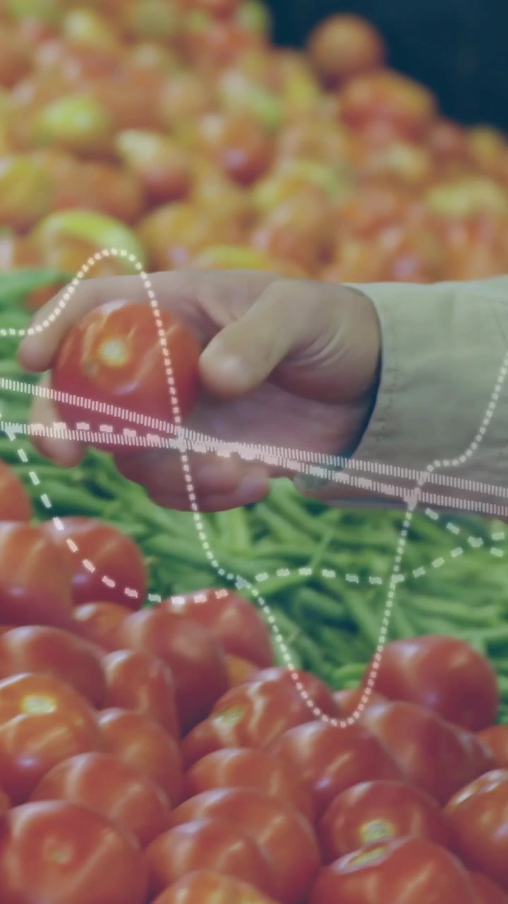 Video verticale: Uomo che allunga la mano, raccoglie e controlla un pomodoro per l'acquisto al mercato, forma d'onda sulla mano.