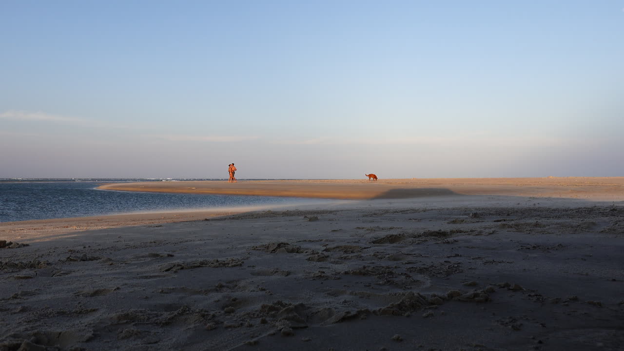 Distant shot of a romantic couple dancing on a secluded beach at sunset with their dog