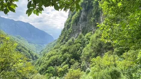 paisaje de cañón tropical verde exuberante con acantilados escarpados, día nublado