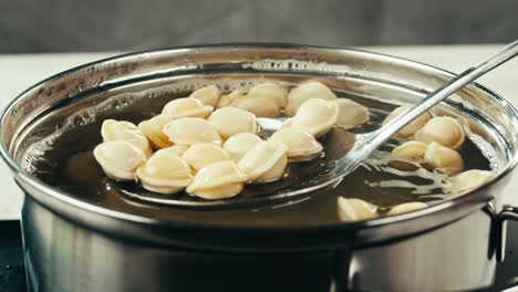 요리 펠메니