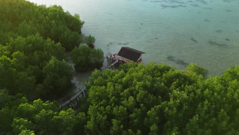 Luftaufnahme-über-Mangrovenwald-Und-Holzbungalow-Bei-Hellem-Sonnenuntergang