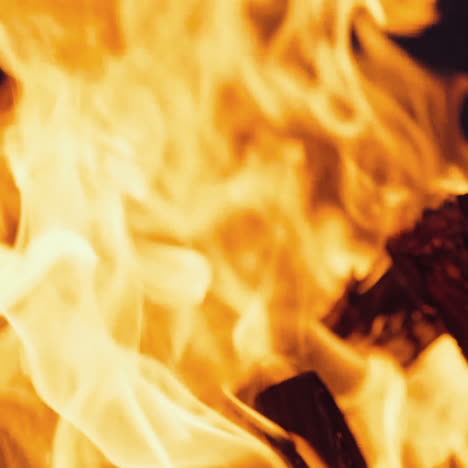 bonfire burning at night. flames of fire on black background in slow motion.