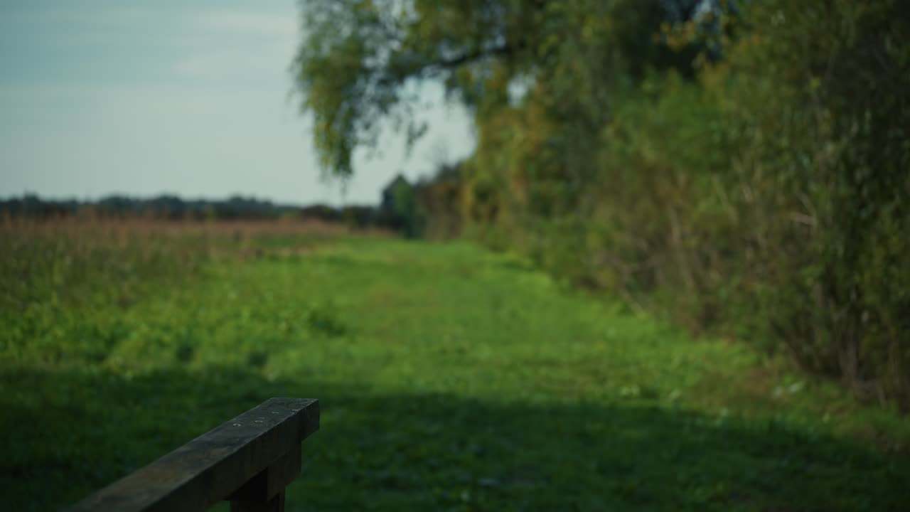 peaceful green path surrounded by lush vegetation in Lonjsko Polje Krapje