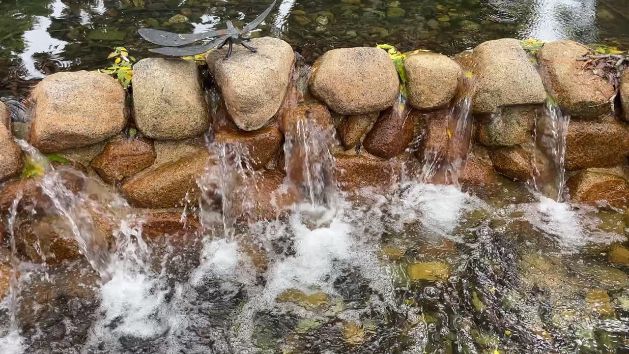 Primo piano di una scultura di libellula su una fontana da giardino