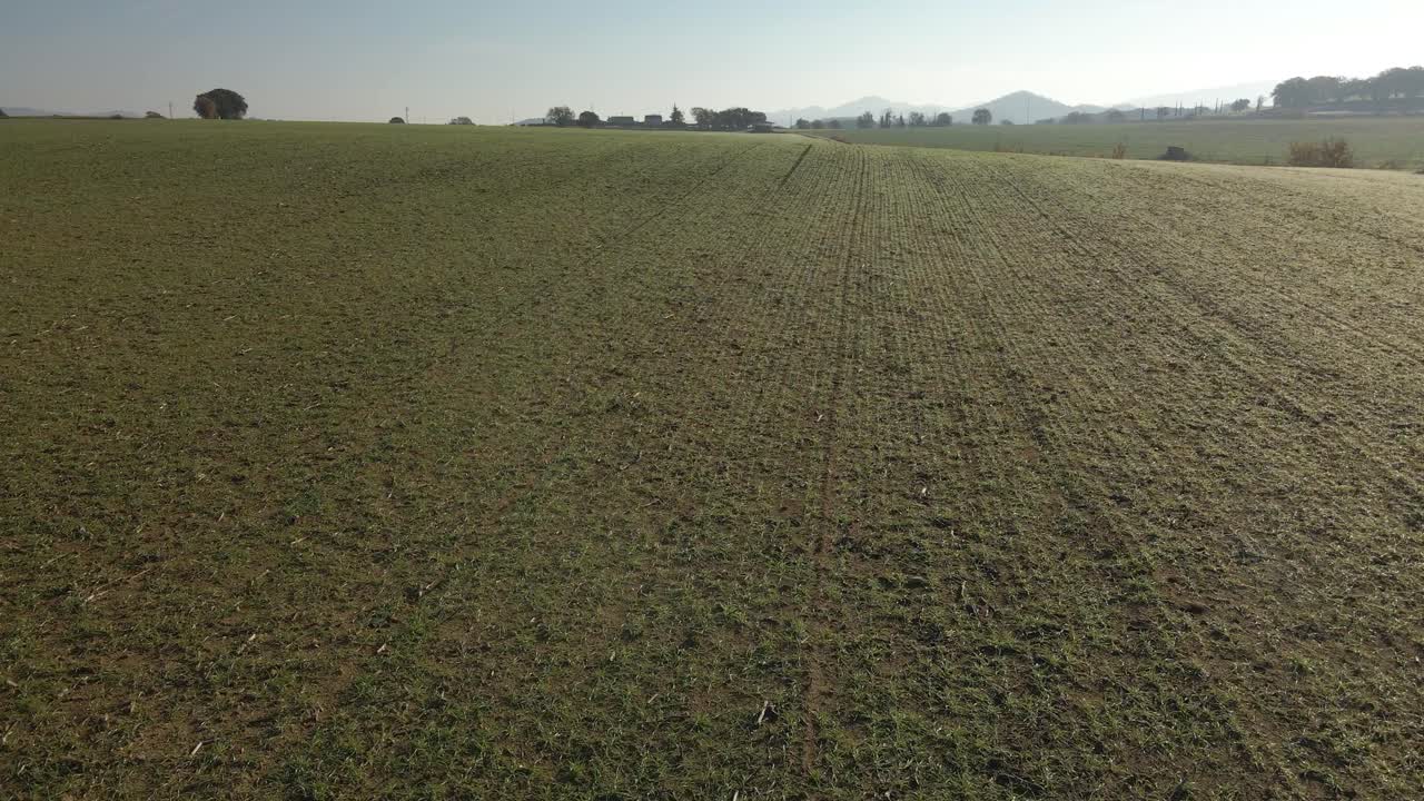 Aerial video of a newly seeded field with a dirt road in the middle and mountains in the background green Llagostera Gerona cultivated field