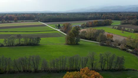 aerial view of green farmland in slovenia