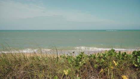 Playa-Caraiva-Bahia-Portoseguro-Brasil-Arena-Mar-Verde-Vegetación-Soles-Brach-Playa-Caraiva