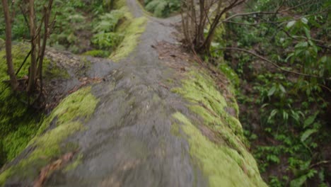 POV-shot-walking-across-fallen-log-or-tree