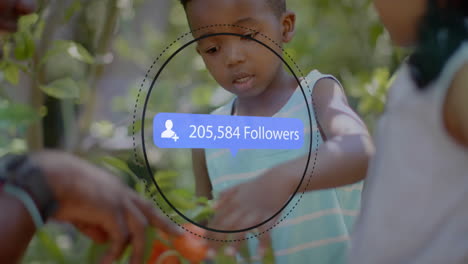 picking vegetables in garden, child with 198,251 followers animation overlay