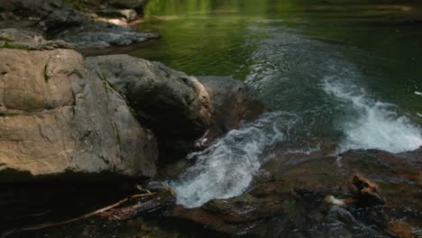 small waterfall in a forest stream